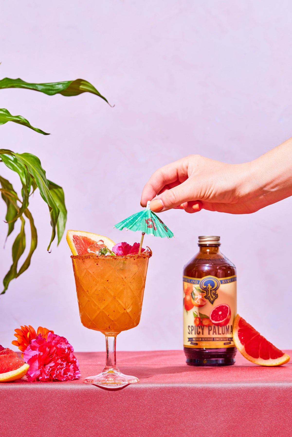 Cocktail with a bottle of Spicy Paloma on a pink surface with a purple background